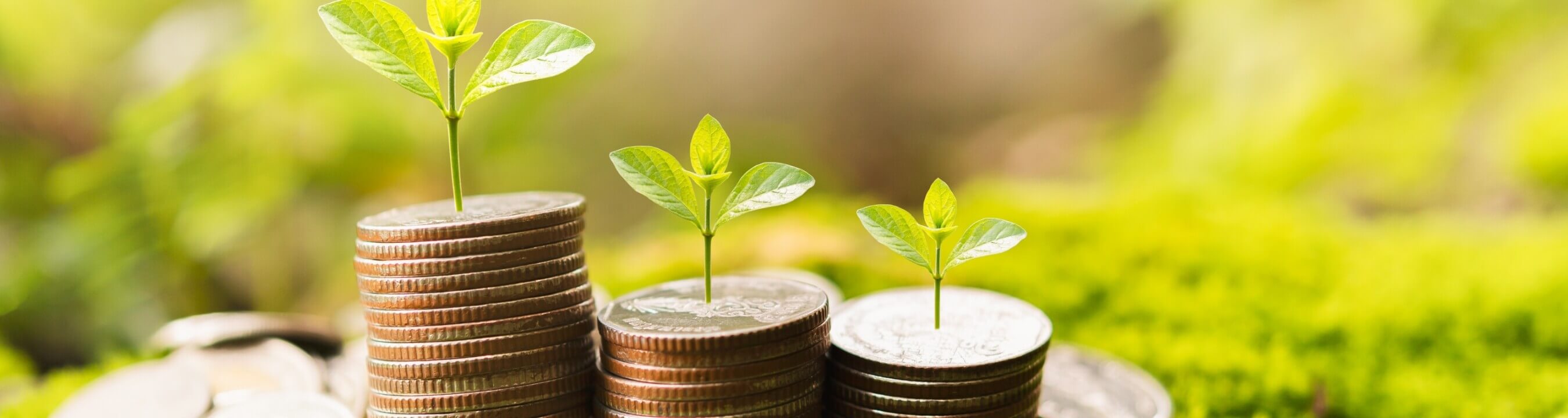 永續金融政策