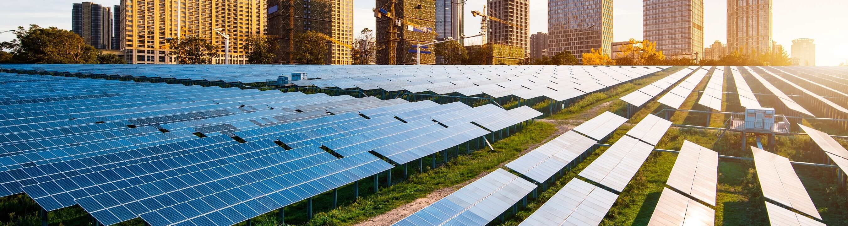 Decarbonization Policy